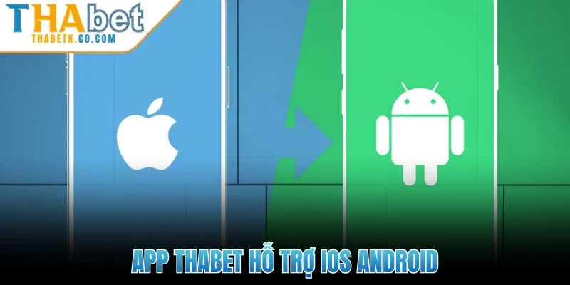 App Thabet hỗ trợ iOS Android