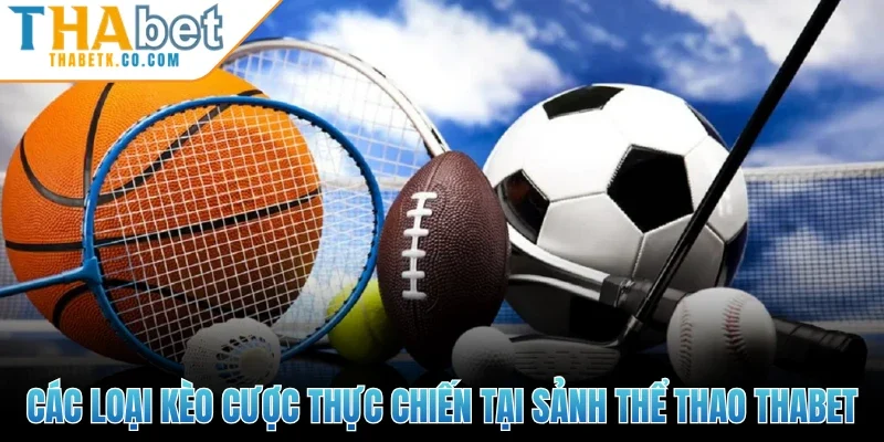Các loại kèo cược thực chiến tại sảnh thể thao Thabet