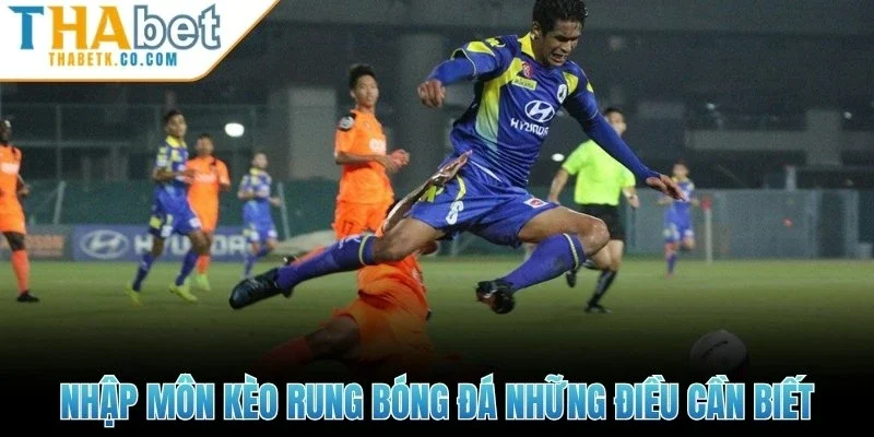 Nhập môn kèo rung bóng đá những điều cần biết