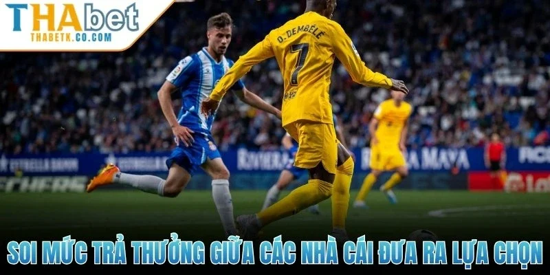 Soi mức trả thưởng giữa các nhà cái để đưa ra lựa chọn